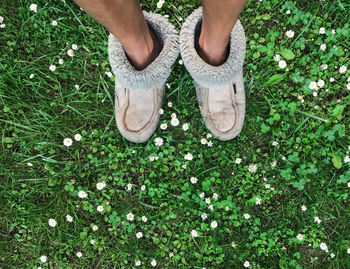 Low section of man standing on grass