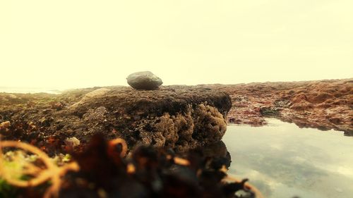 View of rocks on landscape against clear sky