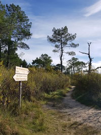 Road amidst trees on field against sky