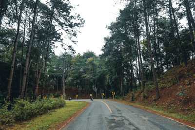 Empty road amidst trees in forest against sky