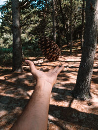 Cropped hand of man reaching trees in forest