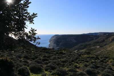 nature