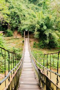 Footbridge amidst trees