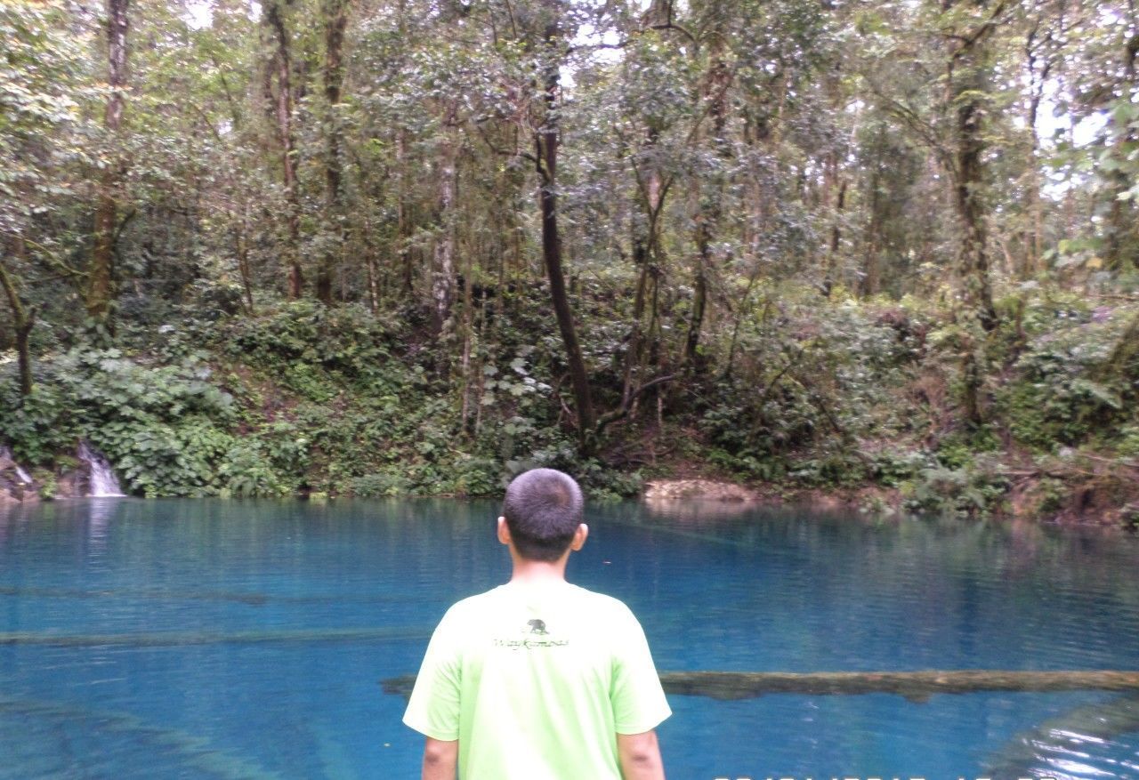 REAR VIEW OF MAN IN FOREST