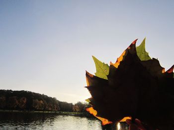 Scenic view of lake against clear sky