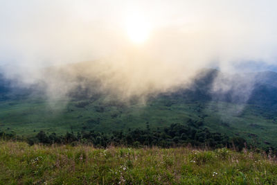 Scenic view of field against sky during foggy weather