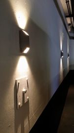 Illuminated electric lamp