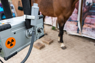 Radiographic x-ray imaging of the equine foot  provide the veterinarian and farrier wealth info