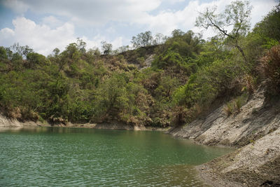 Scenic view of river amidst trees against sky