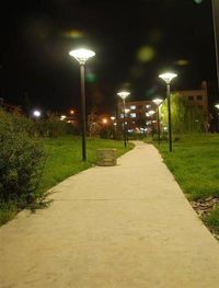 Empty road at night