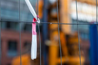 Close-up of clothespins hanging on rope