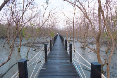 Footbridge over lake amidst bare trees