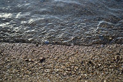 Scenic view of sea