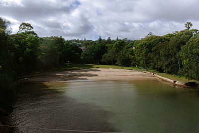Scenic view of river amidst trees against sky