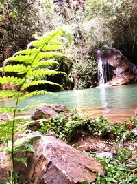 Scenic view of waterfall