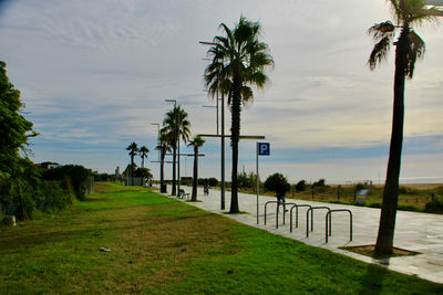 Palm trees on field against sky