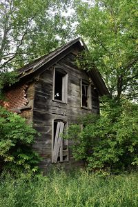 Low angle view of abandoned house in forest