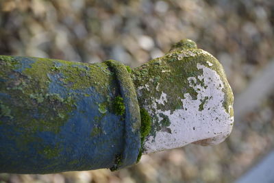 Close-up of old drainage pipe