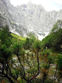 Scenic view of rocky mountains