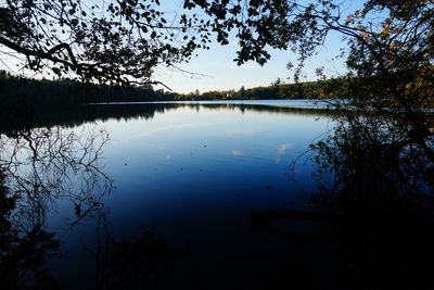 Reflection of trees in calm lake