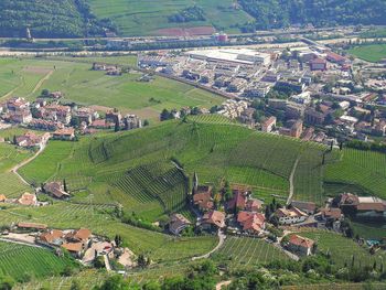 High angle view of agricultural field