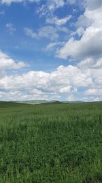 Scenic view of field against sky