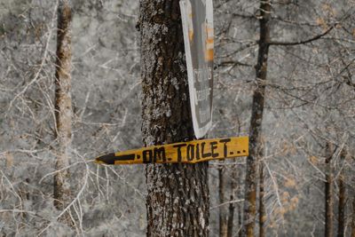 Information sign on tree trunk in forest