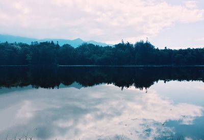 Reflection of trees in calm lake