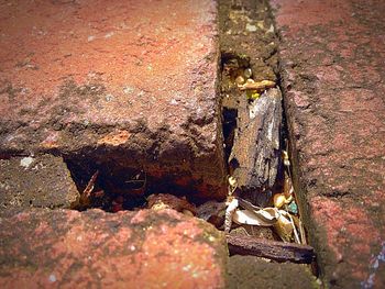 View of old building