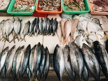 View of fish for sale at market stall