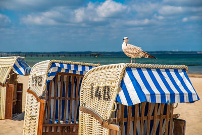 Seagull perching on chair at beach against sky
