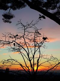 Silhouette bare tree against sky at sunset