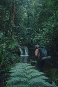 Rear view of male hiker standing against waterfall in forest