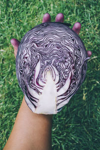 Cropped hand of person holding cabbage over field