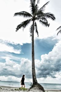 Full length of palm tree on beach against sky