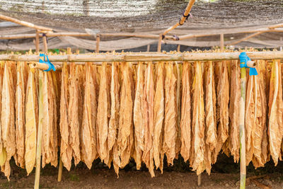 Close-up of clothes drying on wood