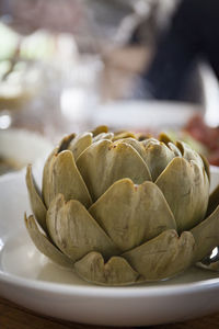 Close-up of artichoke in plate