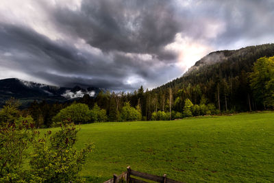 Scenic view of trees and mountains against sky