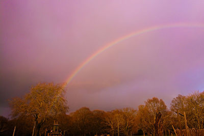 Low angle view of rainbow against sky