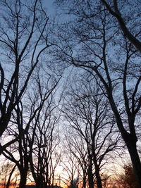 Low angle view of bare trees against sky at sunset