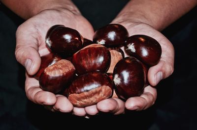 Cropped image of hands holding chestnuts