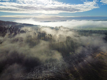 Scenic view of mist in forest  against sky