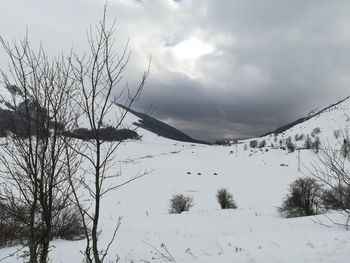 Low angle view of snow covered landscape against sky