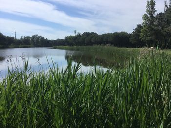 Scenic view of lake against sky