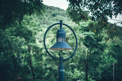 Street light against trees