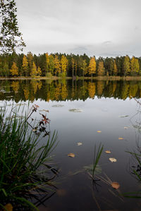 Scenic view of lake against sky