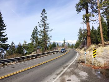 Road by trees against sky