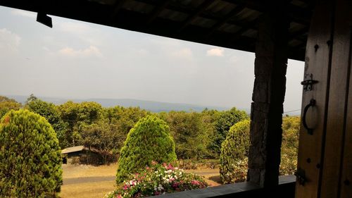 View of trees against sky