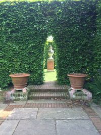 Statue on potted plant against trees