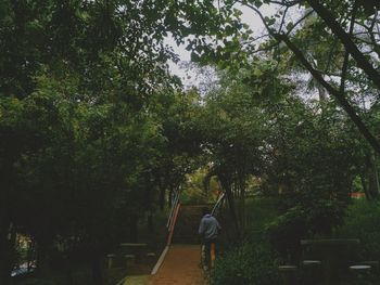 Man working by trees against sky at night